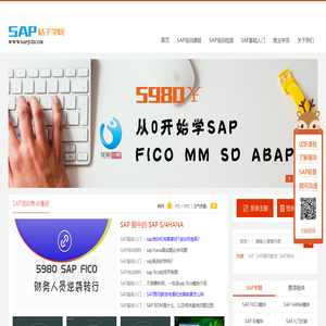 SAP培训_SAP培训课程学习及SAP培训视频资料下载-SAP桔子学院