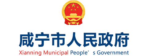 关于2020年8月-2021年5月市政府常务会议纪要确定有关事项进展情况的督查通报 - 咸宁市人民政府门户网站